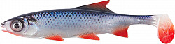 Balzer Shirasu Clone Shad 15cm -Roach