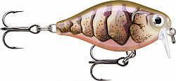 Rapala X-Light Crank #Sha_Runner #35 #pu